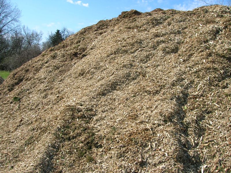 gallyapríték a gallyaprítás után